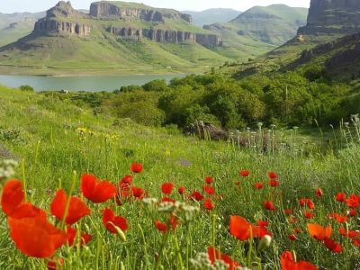قابلیت های گردشگری قلعه چای باید احیا شود